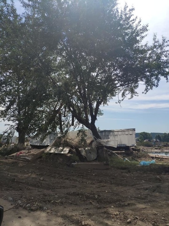 «Люди живут на крышах»: красноярка рассказала о впечатлениях от затопленного Тулуна