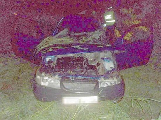 В Башкирии легковушка вылетела с мокрой трассы в кювет – водитель погиб