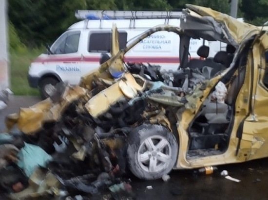 В Рязани ребенок погиб в ночном ДТП с участием фуры и микроавтобуса
