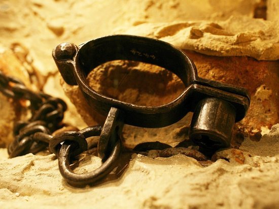 Житель калмыцкого села использовал раба для ведения хозяйства Житель калмыцкого села использовал раба для ведения хозяйства