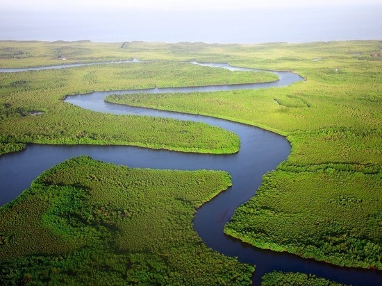 Очистить русло реки Сечны собираются в Калужской области