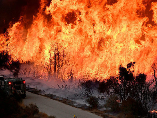 Жаркая погода может спровоцировать лесные пожары в Хабаровском крае