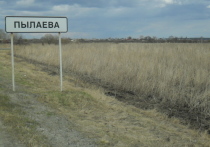 В Свердловской области уже несколько лет органы власти не могут решить вопрос с возвращением в оборот земель некогда передового ОПХ «Пышминское»