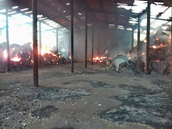 В Велижском районе сгорело 70 тонн сена