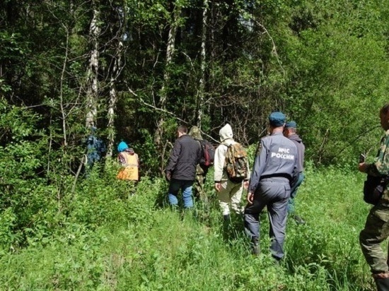 В Верхнекамском районе семейная чета заблудилась в лесу и провела там три дня