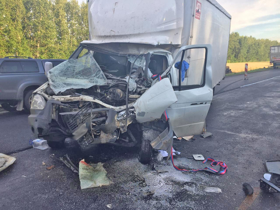 В Тамбовской области «ГАЗель» столкнулась с грузовиком