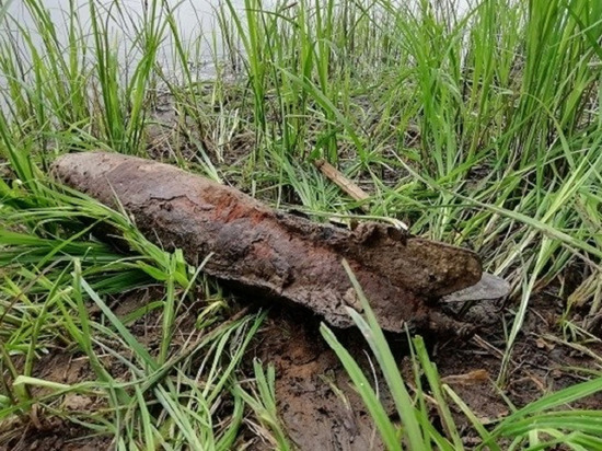 В Архангельской области снова нашли снаряды вековой давности