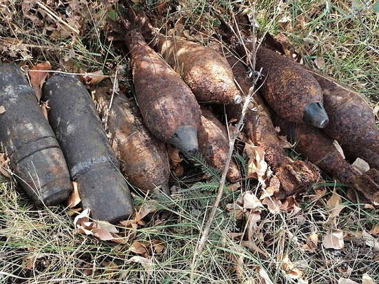 На юге Воронежской области уничтожили партию боеприпасов времен войны