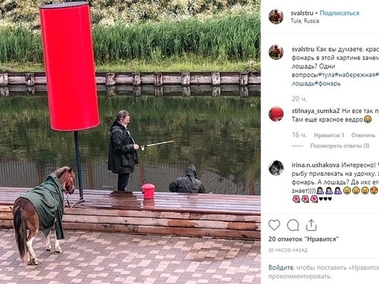 Тулячка повстречала "коня в пальто" на Казанской набережной