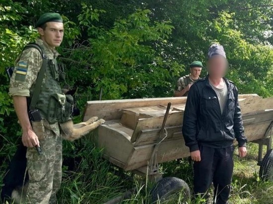 Украинские пограничники задержали воблу из Саратовской области