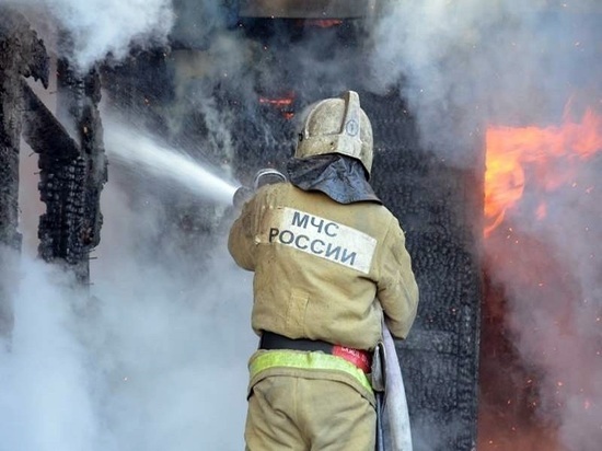 В ночном пожаре в Иванове сгорел садовый дом