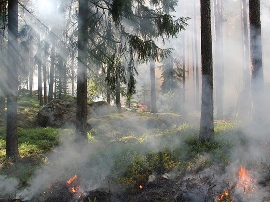 Пять из 37 пожаров тушат в лесах Забайкалья
