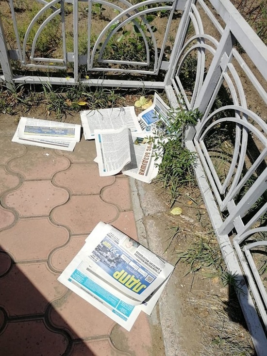 Фото дня: «Соколы Жириновского» разбросали по Улан-Удэ газеты «ЛДПР за чистый город!»