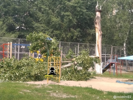 Два дня в Барнауле бушует ветер: деревья падают на детские площадки и автомобили