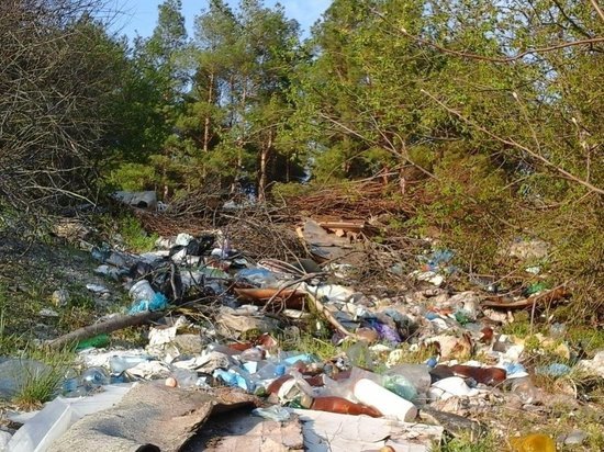 Фотоловушки для любителей незаконного сброса мусора установят в калужских лесах