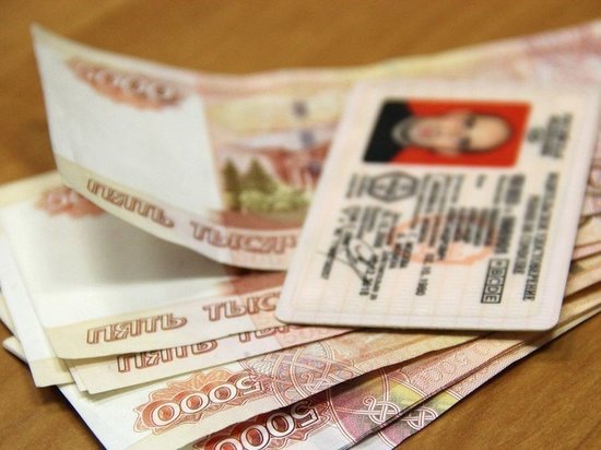 Житель Пушкина заплатил 230 тысяч рублей за смену водительских прав