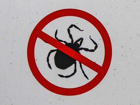 В Карелии зафиксировано 29 случаев заражения опасными клещевыми инфекциями