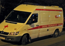 Страшная трагедия разыгралась днем 14 июля в квартире дома в поселке ТЭЦ города Ельца