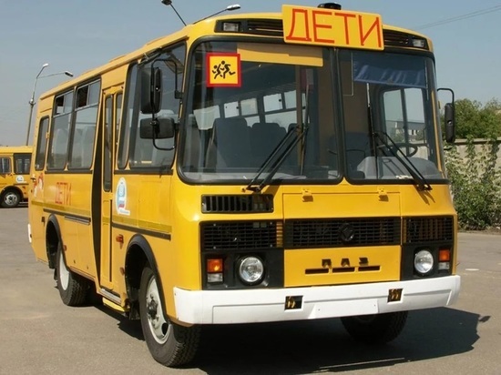 В Ярославской области задержали пьяного водителя детского автобуса