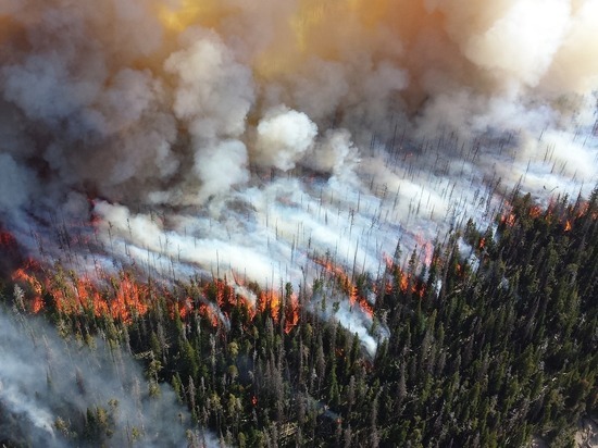 В Надымском районе ЯНАО горит лес