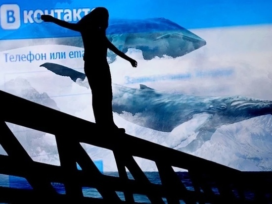Полиция заявила, что не задерживала админа «Синего кита» в Бердске