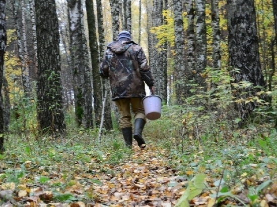 В Чувашии полицейские разыскали заблудившегося в лесу мужчину