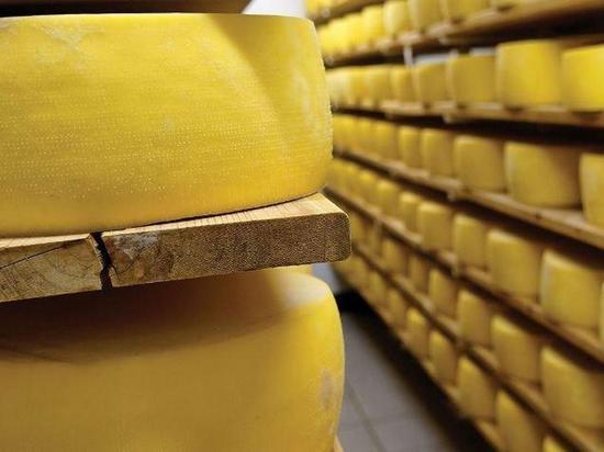 В Курской области подпольно варили сыр