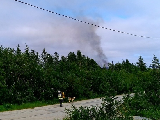В Лабытнанги сообщают о пожаре около вертолетной площадки