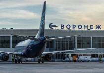 О такой перспективе заявил совладелец «Новапорта», новой компании-владельца воронежской воздушной гавани Роман Троценко