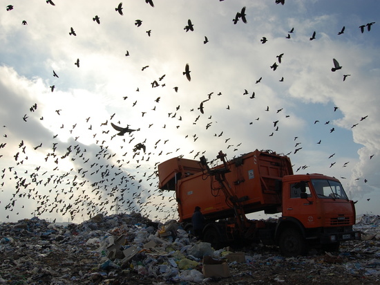 За сутки полигон принимает около 8,5 тысячи кубометров бытового мусора