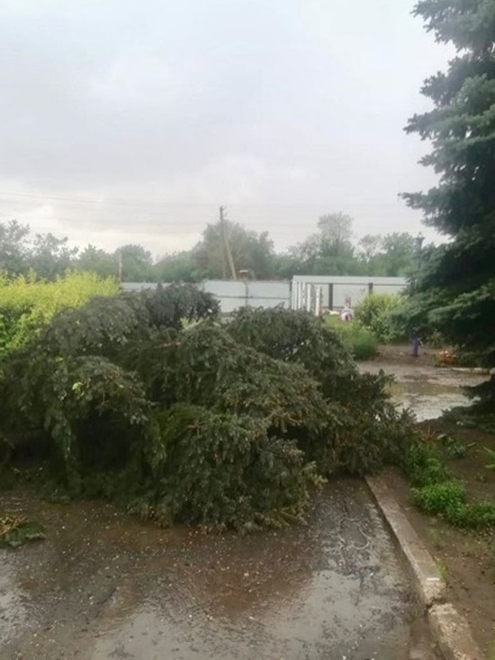 На Ставрополье восстановили электроснабжение в пострадавшем от стихии селе