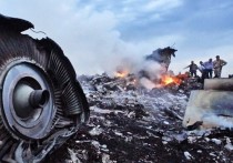 В совместной следственной группе по расследованию крушения малайзийского Boeing MH-17 в Донбассе в 2014 году заявили, что у следствия появились новые свидетели