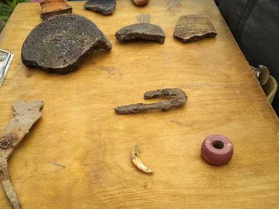 Тульские археологи  нашли древний амулет