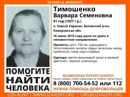 Пропавшую кузбасскую пенсионерку хотят искать на лошадях