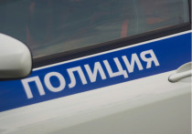 Главное следственное управление СКР по Москве приняло к производству дело об убийстве 14-летней гражданки России