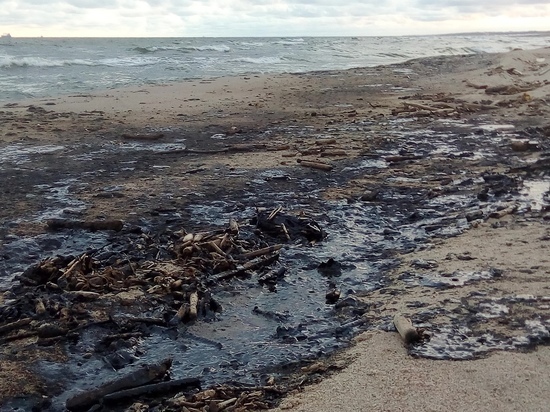 «То ли нефть, то ли мазут»: очевидцы рассказали о загрязнении Балтийской косы