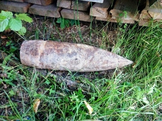 В Калининграде в СНТ «Дачное» обнаружили артиллерийский снаряд