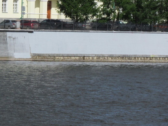 «Маслянистое пятно» на городском пруду Екатеринбурга будут изучать