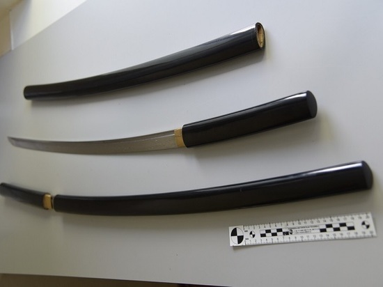 Татарстанские таможенники обнаружили в посылке японские мечи