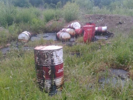 Страшная находка: в Кирово-Чепецком районе найдено токсичное "болото"