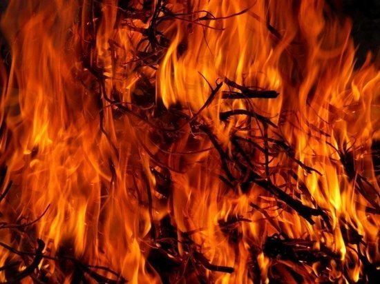 Синоптики предупредили о лесных пожарах в ЯНАО из-за жары