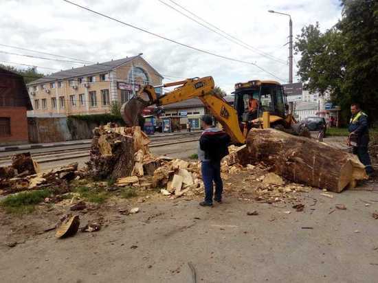 По ул. Оборонной в Туле сегодня убирают аварийные деревья