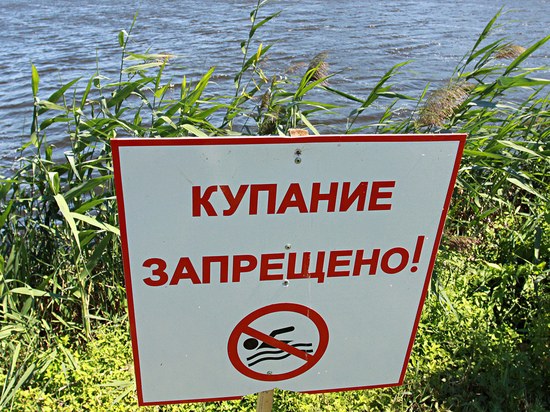 Роспотребнадзор региона запретил купание в реке Тыльжа в Советске