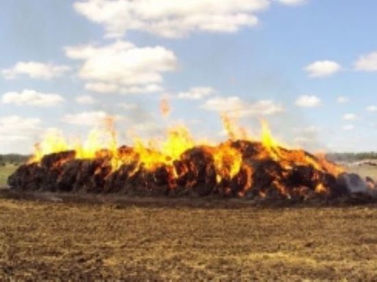 Пожар уничтожил сено в калмыцком поселке