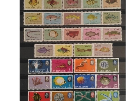 Туляк продает коллекцию марок за 3 миллиона