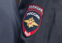 Сразу три новых знака отличия появится у российских полицейских