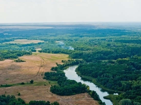 Запрет на посещение волгоградских лесов продлили до 8 августа