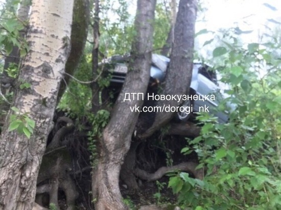 В Новокузнецке автомобиль застрял на дереве