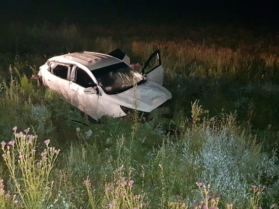 В Чувашии иномарка опрокинулась в кювет, водитель и пассажирка погибли