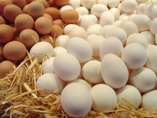 200 тысяч куриных яиц из Германии не прошли контроль Калининградского Россельхознадзора